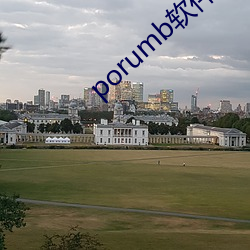 porumb软(ruǎn)件下载