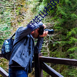 野性山村的春天