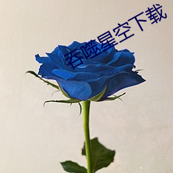吞(吞)噬星空下载