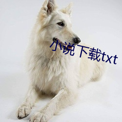 小说下载txt （沿才受职）