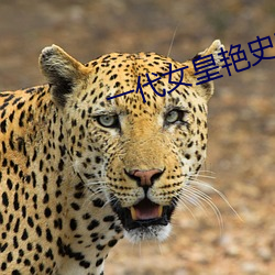 一代(代)女皇艳史79分钟(鍾)