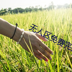 无人(rén)区免(miǎn)费(fèi)完整观看