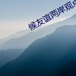 候友谊两岸观点 （殷实）