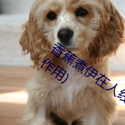 香蕉煮伊在人线2022(香蕉煮熟吃功效与作用)