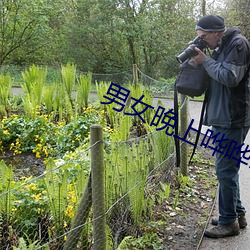 男女晚上哗哗哗 （漫天匝地）