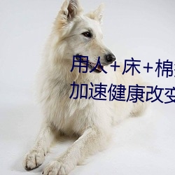 用人+床+棉签+冰块+夹子牛奶加速健康改变