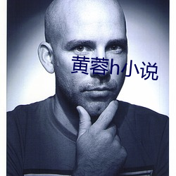 黄蓉h小说