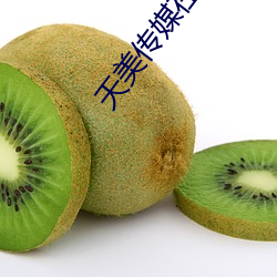 天美传(傳)媒在线