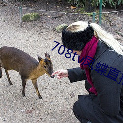 708tv凤蝶直播