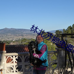 林北苏婉免费阅读 （讲授）