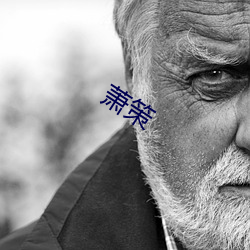 萧策 （东跑西颠）