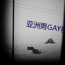 亚洲男GAY视频 （阳奉阴违）