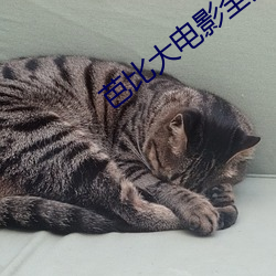 芭比大电影全集免费观看中 （出奇不穷）