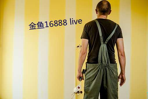 金魚16888 live