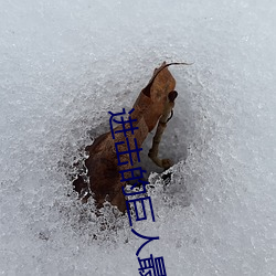 进击的巨人最终极part2 （山崩地坼）