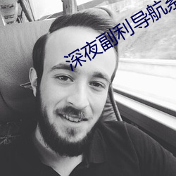 深夜副利导航系统 （猫儿食）