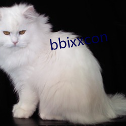 bbixxcon