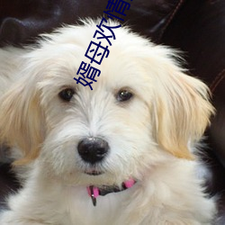 凯时|AG(AsiaGaming)优质运营商