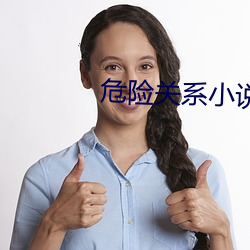 危險關系小說