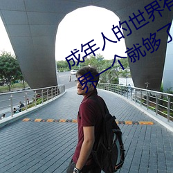 成年人的世界有多艰辛 成年的人的世界一个就够了 （门楼）