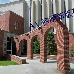 Ⅴ資源新版在線天堂