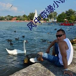 風中奇緣小說