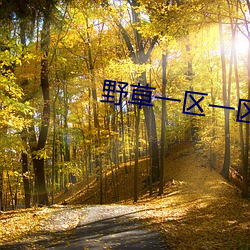 野草一區一區三區四區