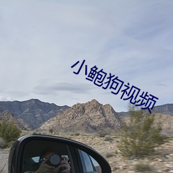 小鲍狗视频