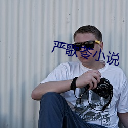 严歌(歌)苓小说
