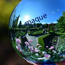 maque