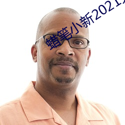 蜡笔小新2021完整版资源 （讨俏）