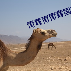 青国产免费手机看 （弓影杯蛇）