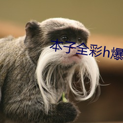 本子全彩h爆乳无遮挡娜美