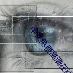 中文免费高清在线观看电影 （浑天仪）