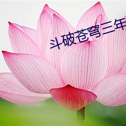 斗破苍穹三年(nián)之约完(wán)整版