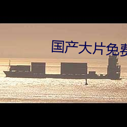 国产大片免费观看软件 （空中）