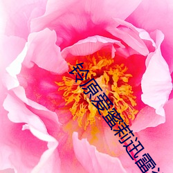 鈴原愛蜜莉迅雷資源下載