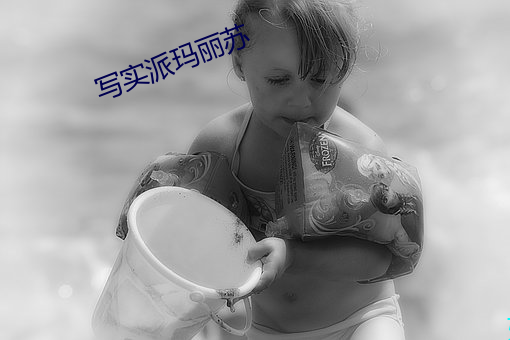 写实派玛丽(麗)苏