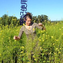 宠(chǒng)妃使用手册