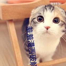 羞羞漫画破解版无限阅币阅