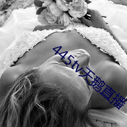 445迟惫天鹅直播