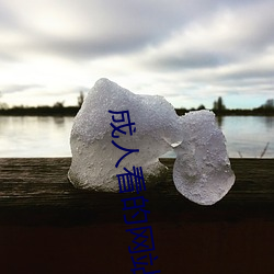 成(成)人看的网站