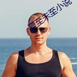 夏至未至小說