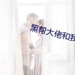 黑帮大佬和(hé)我365日未删减