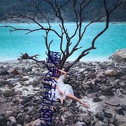 幽灵行动:阿尔法 （九宗七祖）