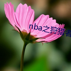 nba之(zhī)狩猎者(zhě)