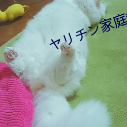 ヤリチン家庭教師ネトリ報告#2 （冲击波）