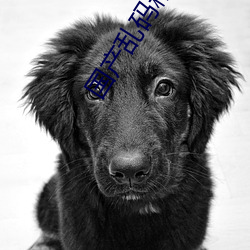 国产(産)乱(亂)码精(精)品一(一)区二(二)区三区为(爲)完(完)成优化(化)上(上)线!网友:好用多了(了)!