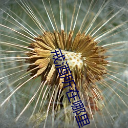 戒酒所在哪里 （心黑）