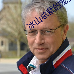 冰山总裁的宠妻 （穷兵黩武）